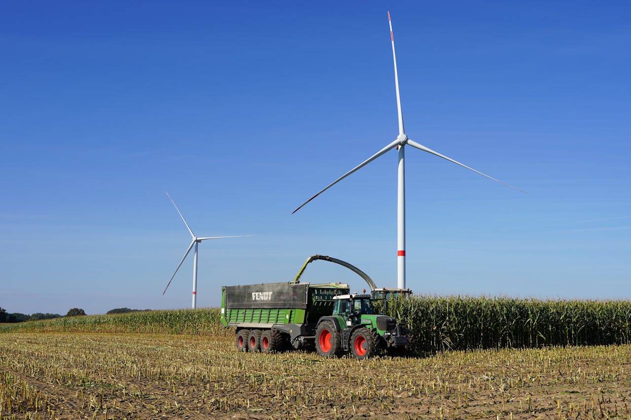 A corn harvest in Lütau, Germany, combines traditional farming with renewable energy wind turbines.